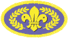 Chief scout gold award badge